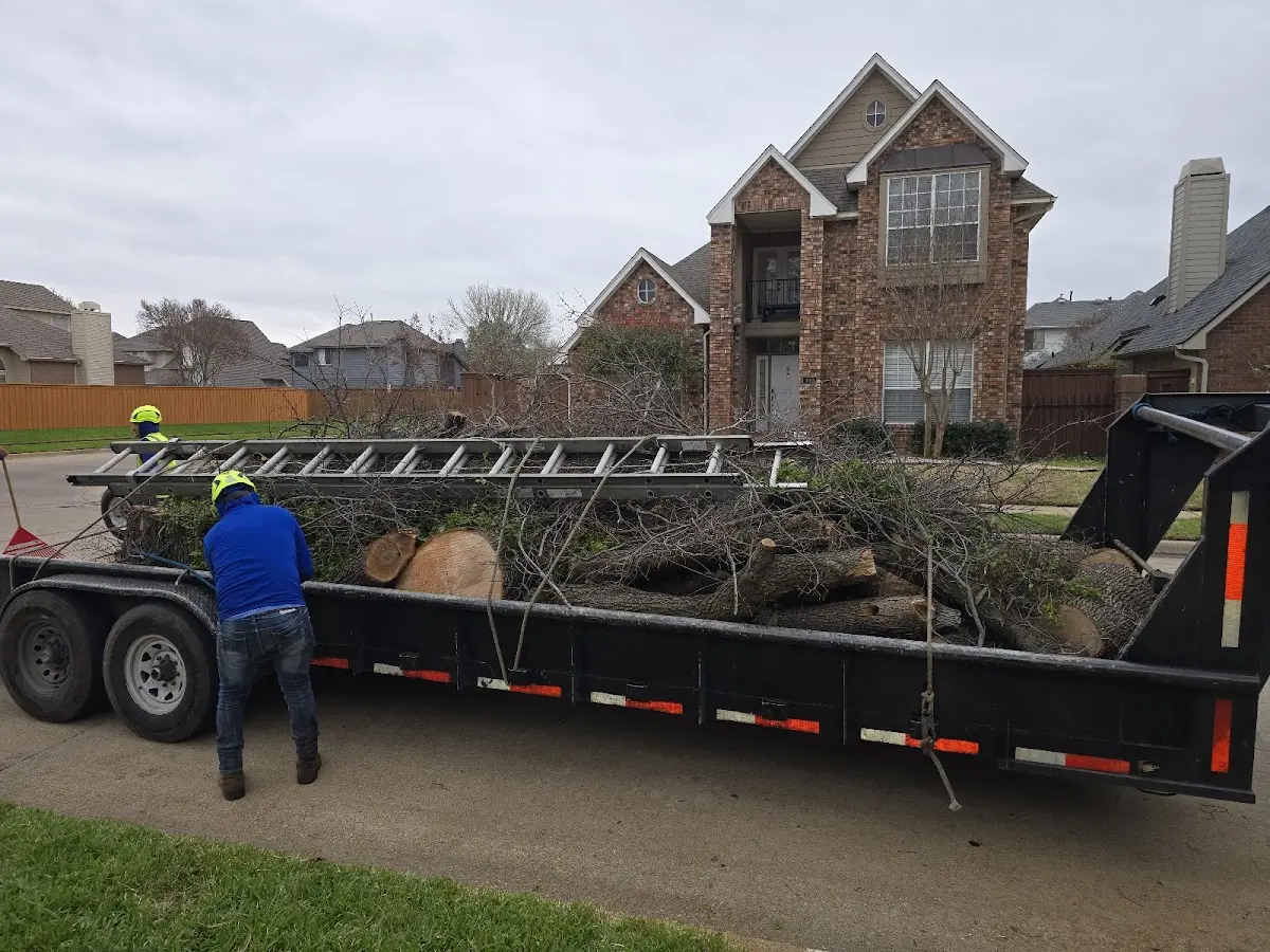 Expert Crown Reduction with proper safety equipment in Garyville